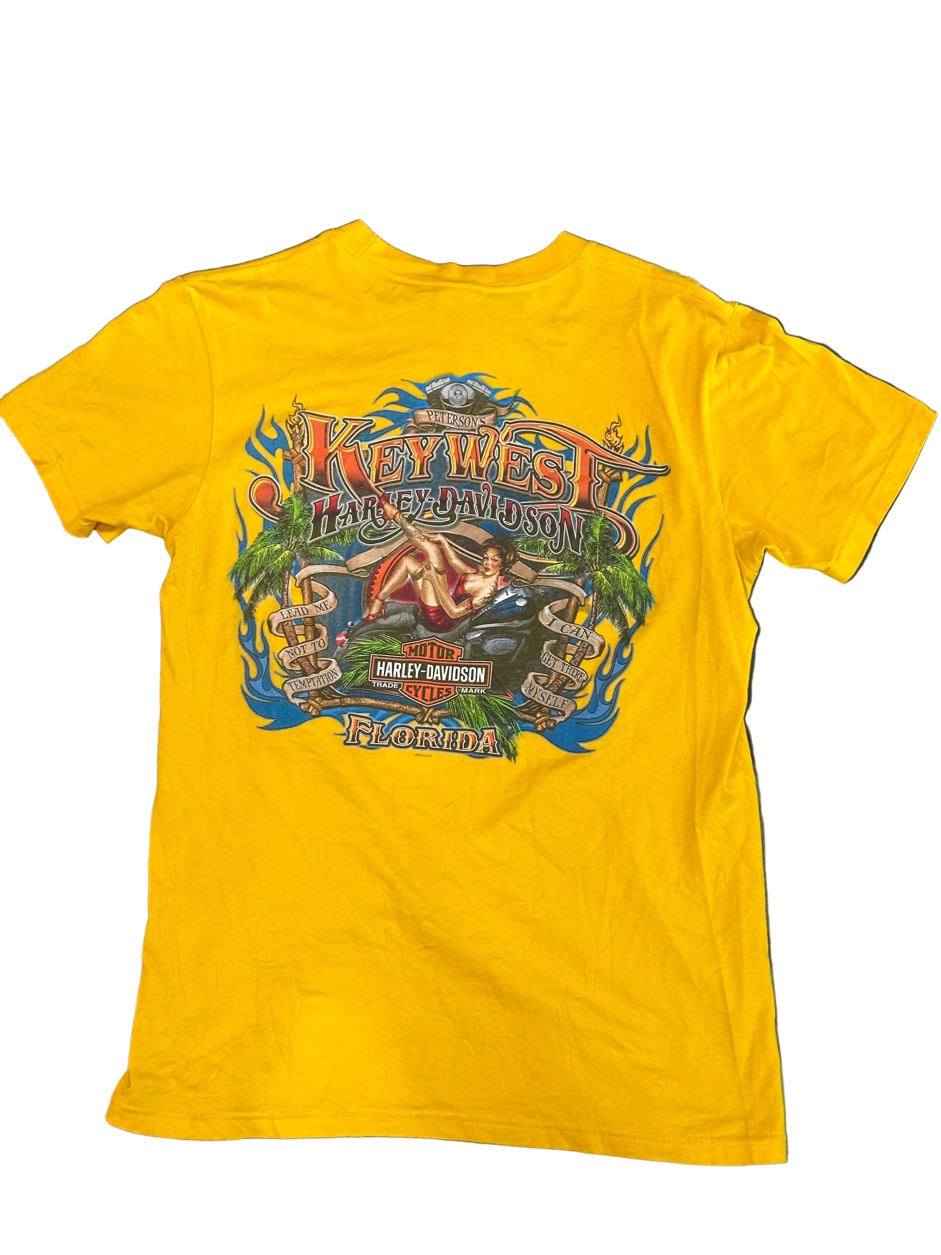 Vintage Harley Davidson Tee Shirt