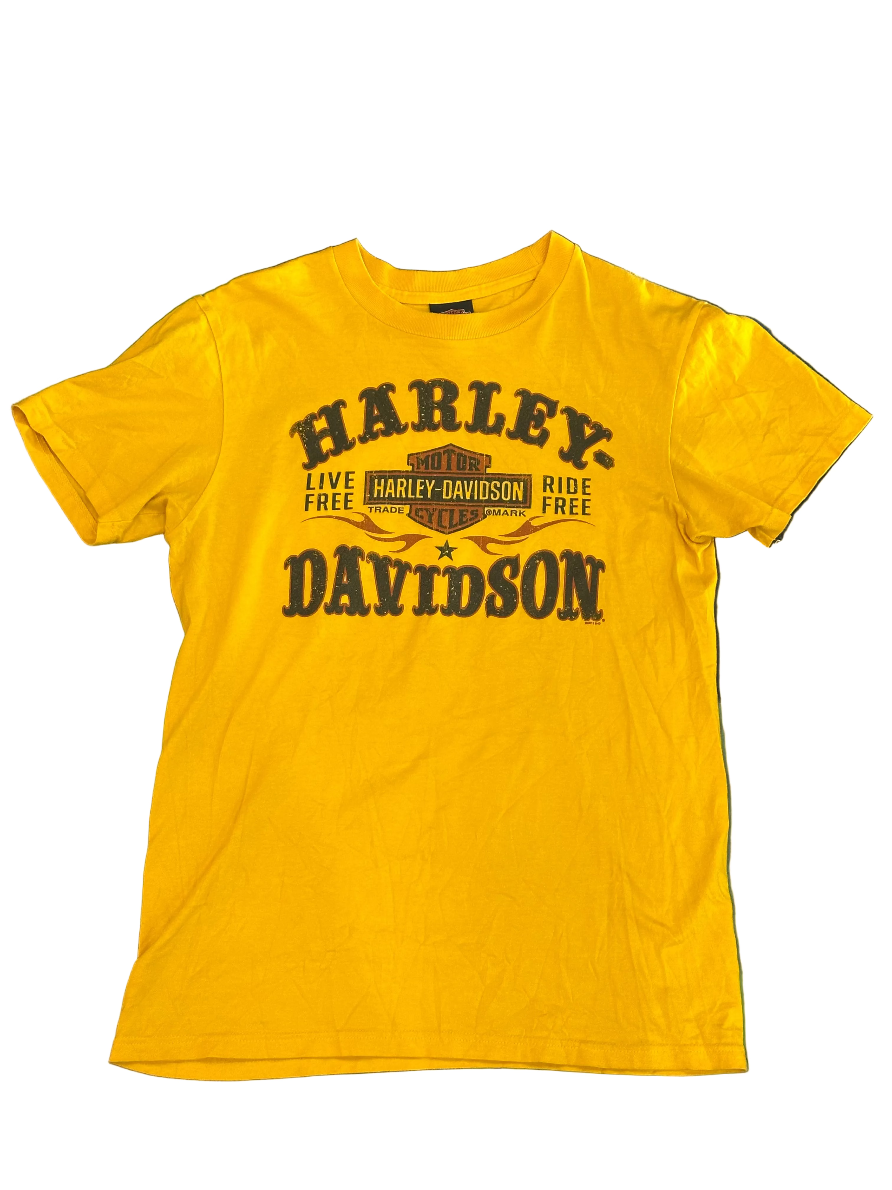 Vintage Harley Davidson Tee Shirt